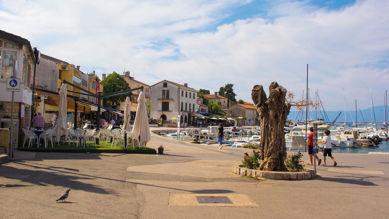 Photo of Others in Milcetici