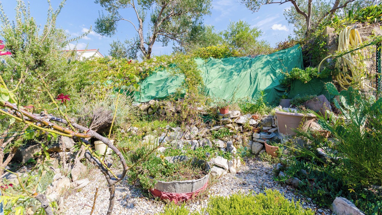 Photo of Outdoor in Banjol