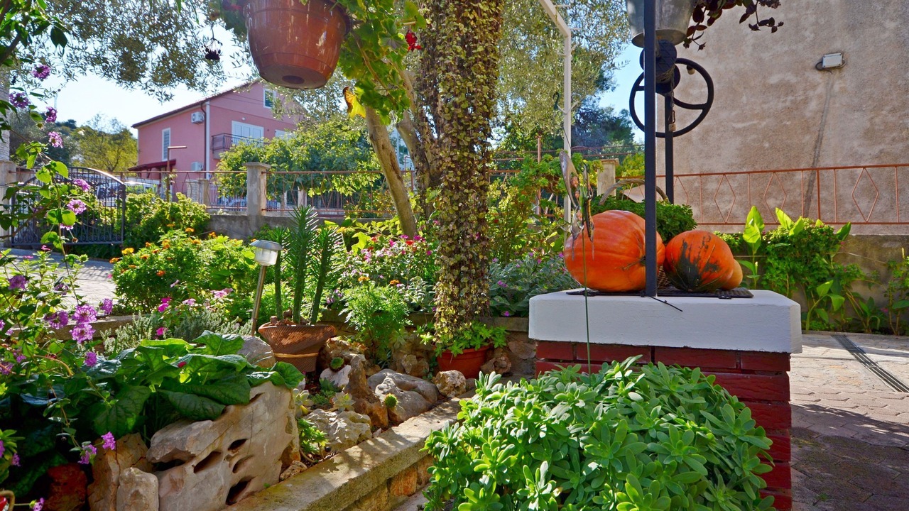 Photo of Outdoor in Susica