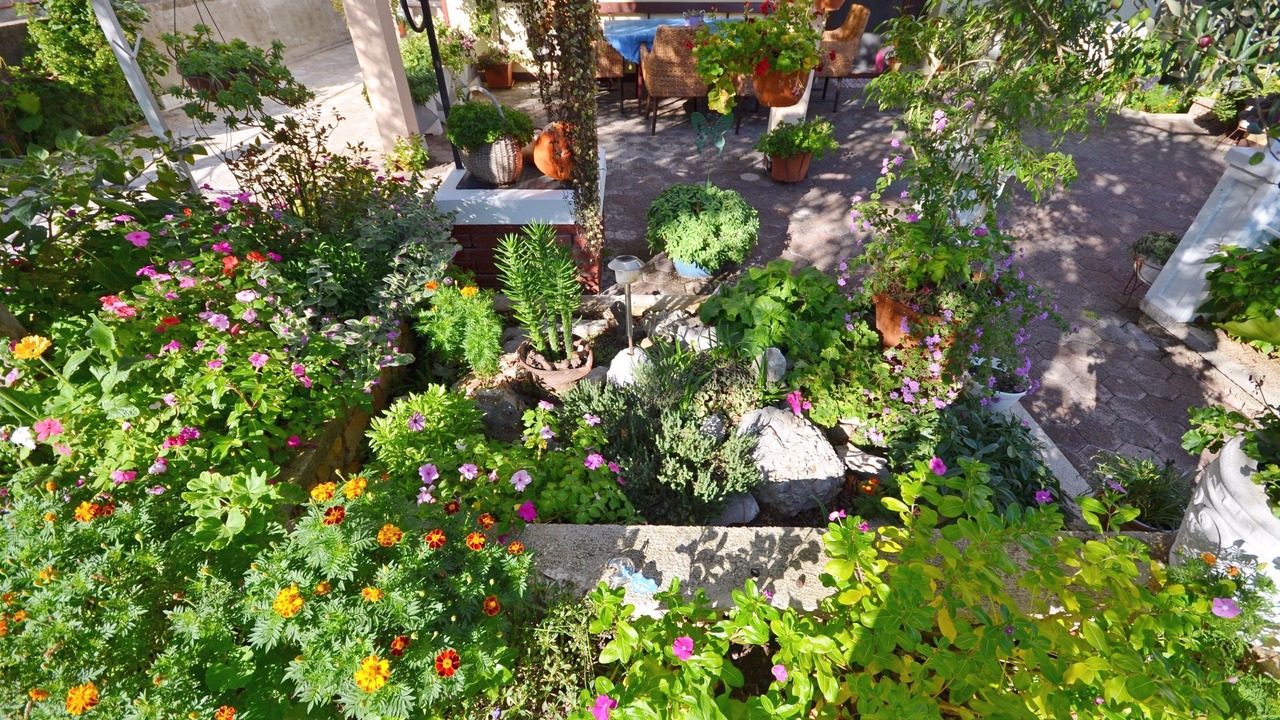 Photo of Outdoor in Susica