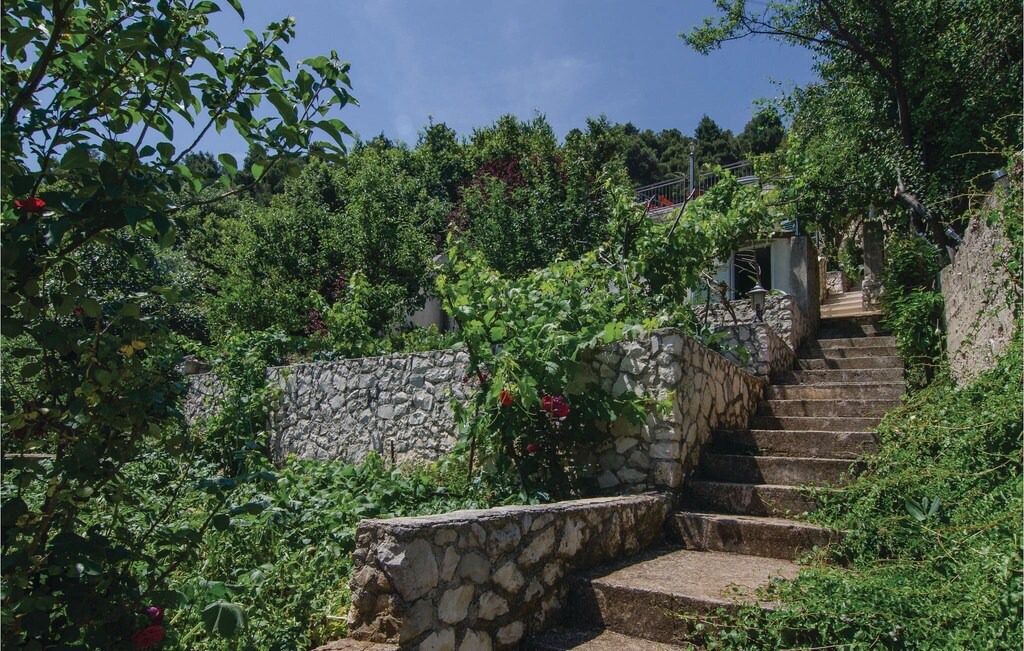 Photo of Others in Trstenik
