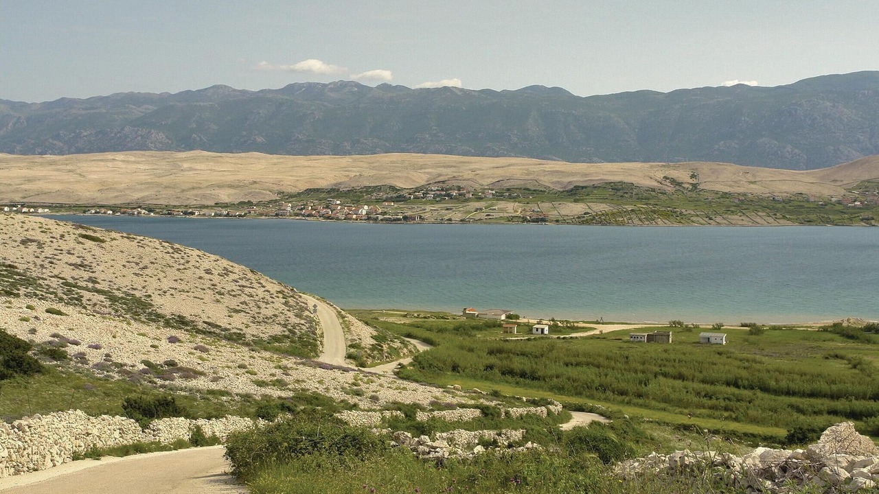 Photo of Others in Bosana
