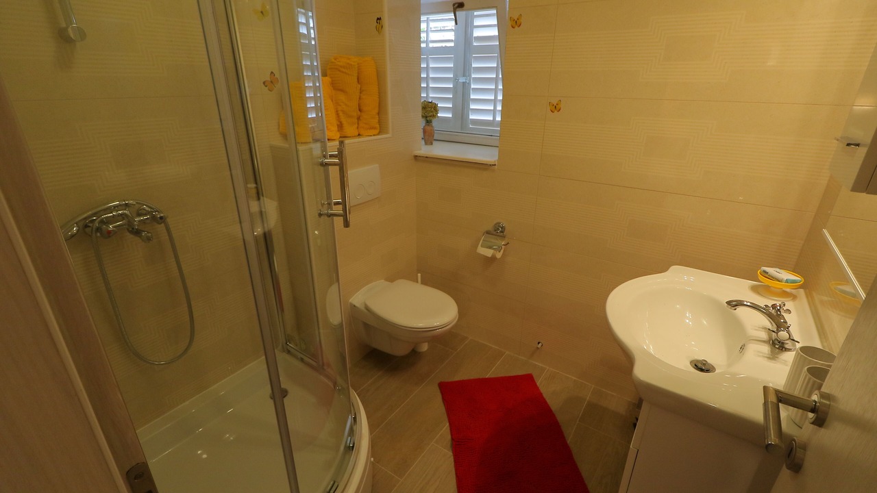 Photo of Bathroom in Stankovici