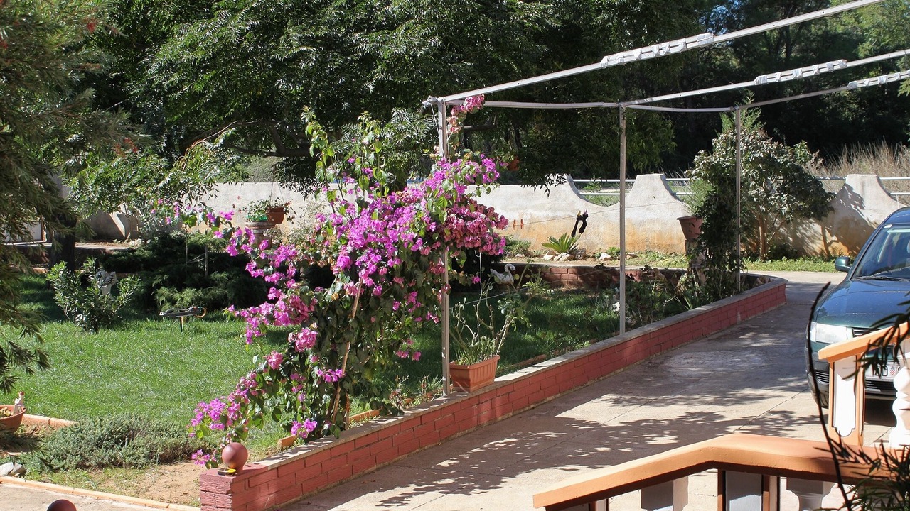 Photo of Patio Balcony in Privlaka