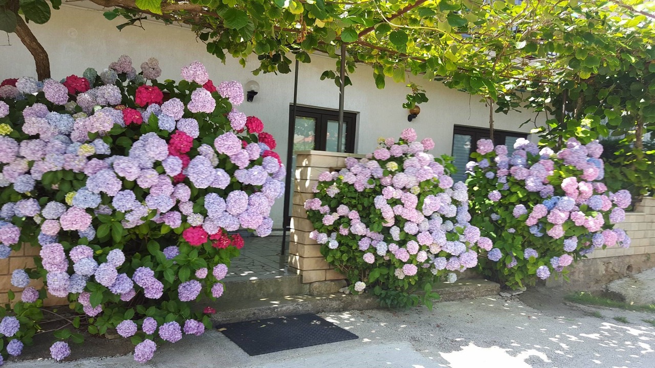 Photo of Outdoor in Fazana