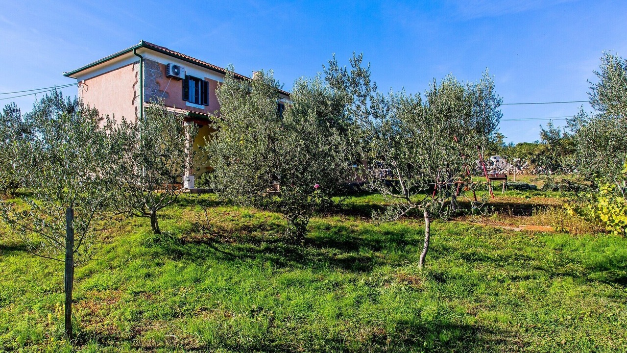 Photo of Outdoor in Kras