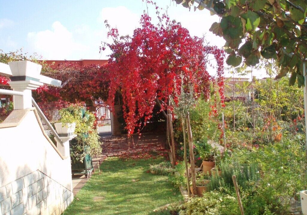 Photo of Outdoor in Fazana