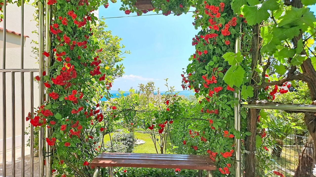 Photo of Outdoor in Okrug Gornji