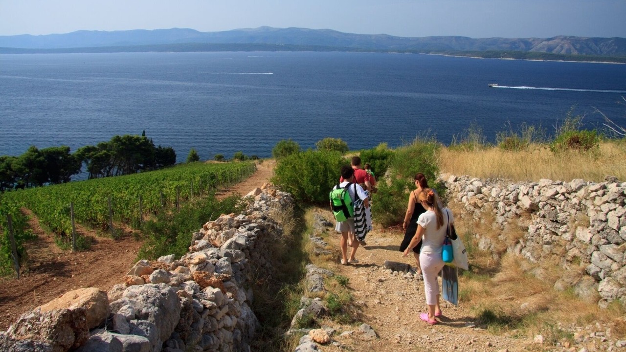 Photo of Others in Murvica