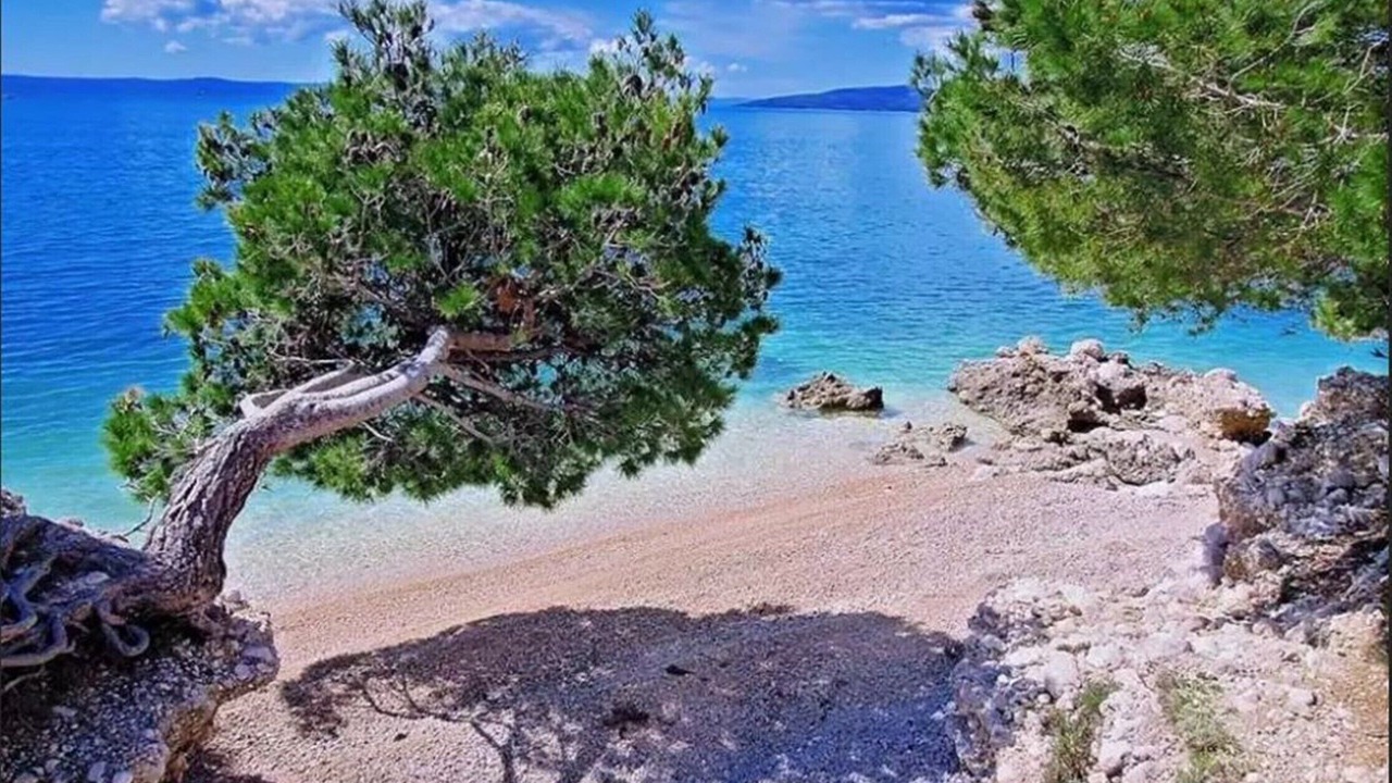 Photo of Others in Zaostrog