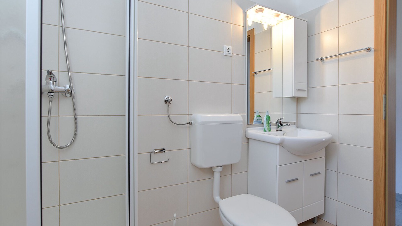 Photo of Bathroom in Pula