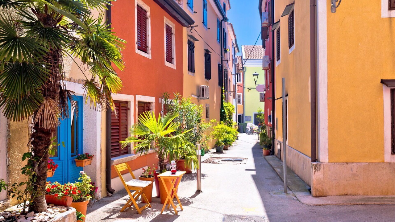 Photo of Others in Novigrad