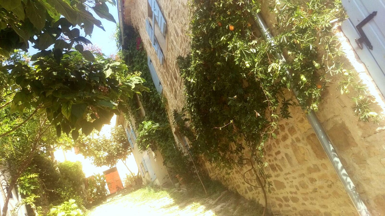 Photo of Outdoor in Motovun