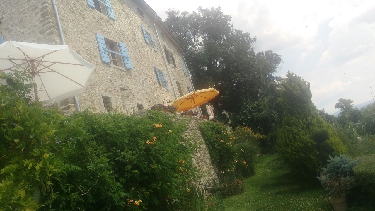 Photo of Outdoor in Motovun