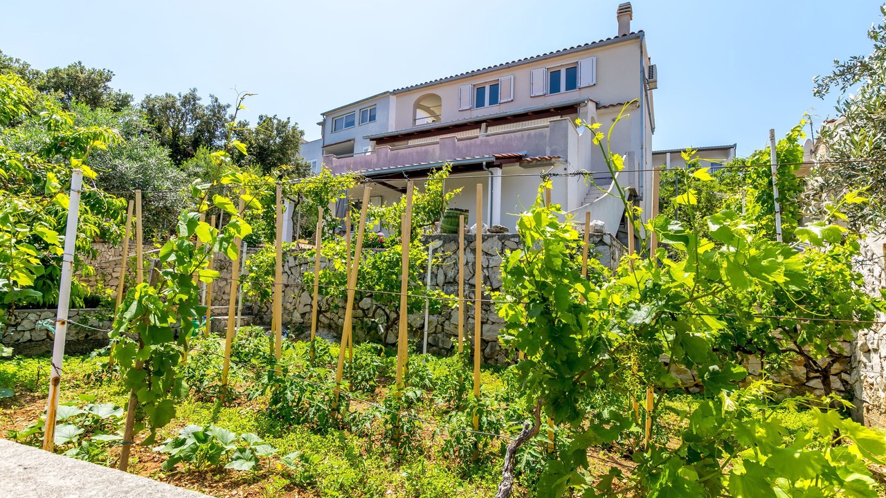 Photo of Outdoor in Dvornica