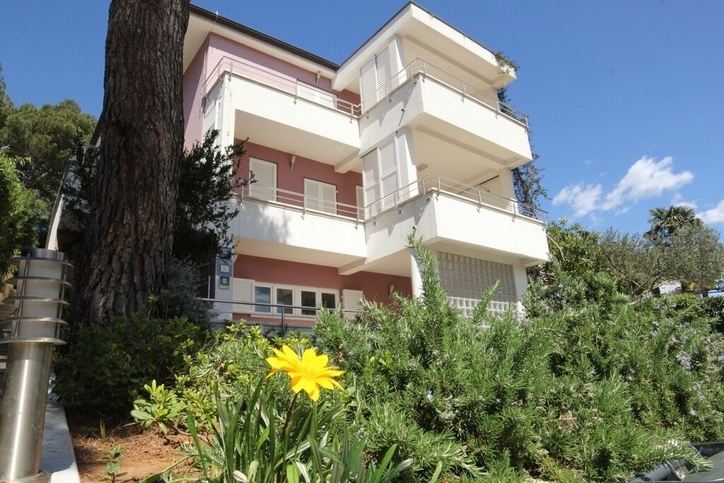Photo of Outdoor in Borik