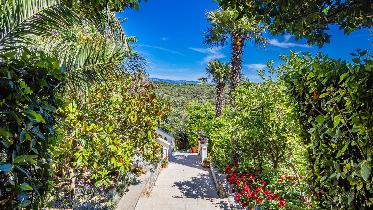 Photo of Outdoor in Suha Punta