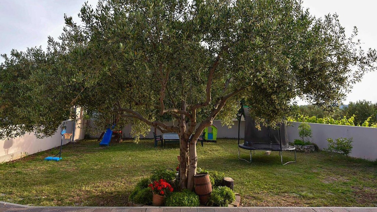 Photo of Others in Sveti Petar