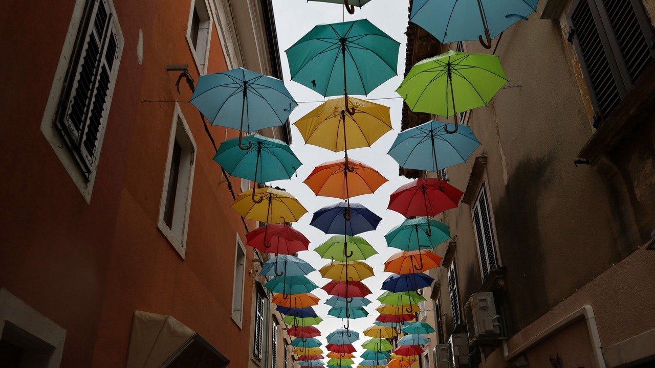 Photo of Others in Novigrad