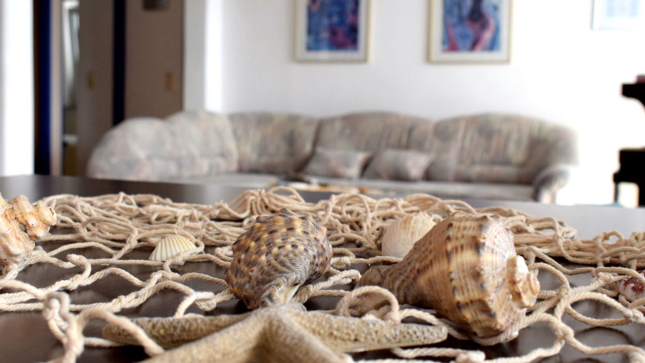 Photo of Livingroom in Dobropoljana