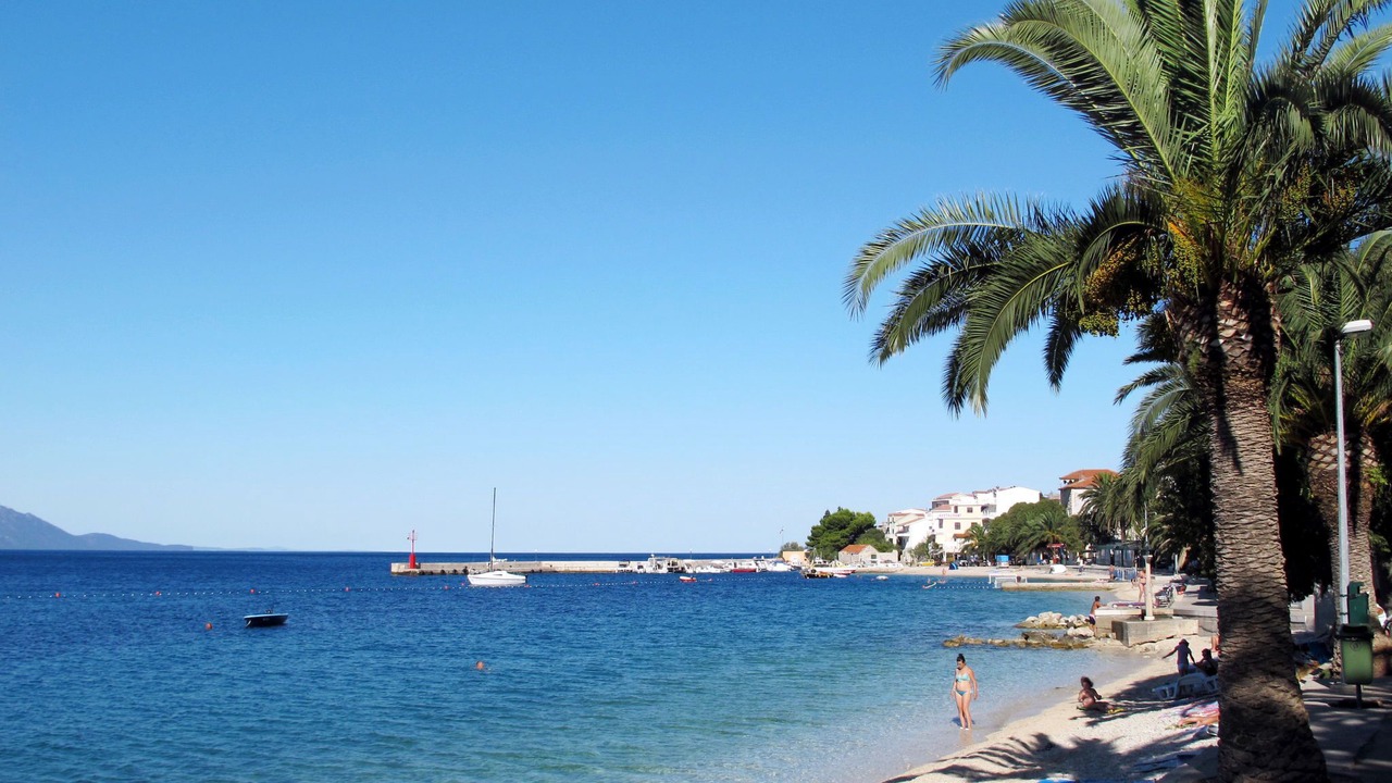 Photo of Others in Donja luka