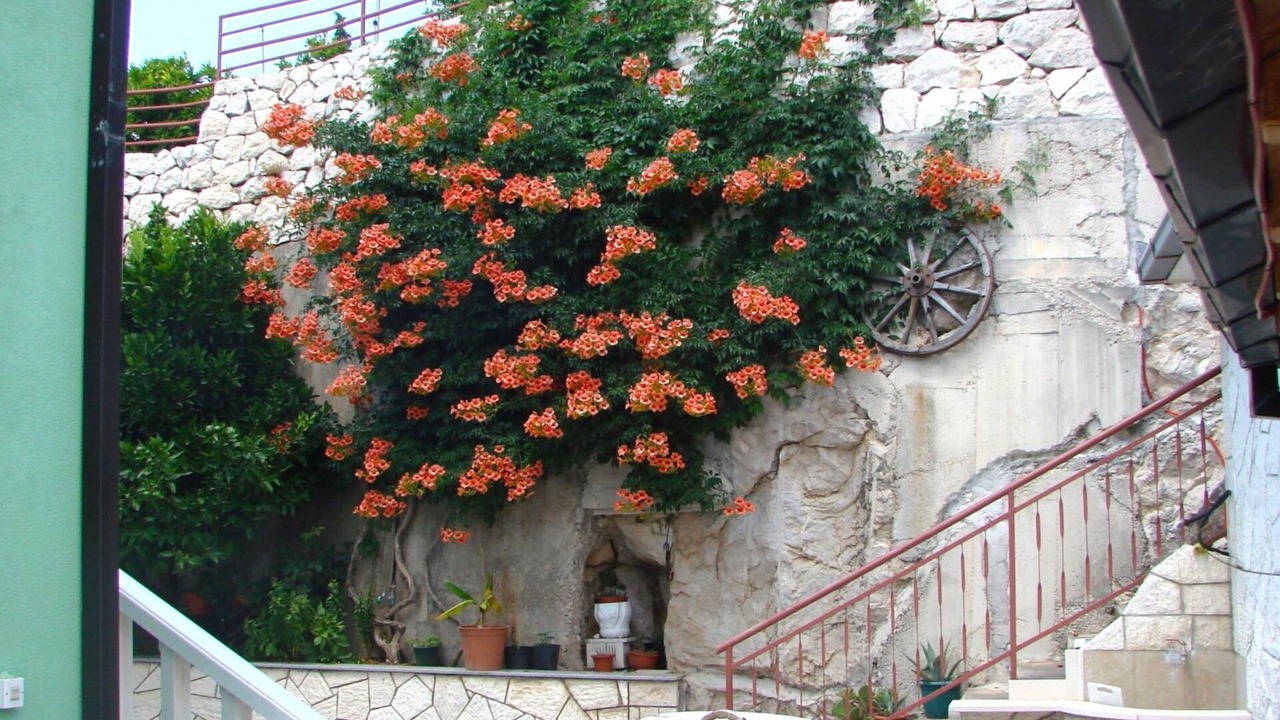 Photo of Outdoor in Peracko Blato