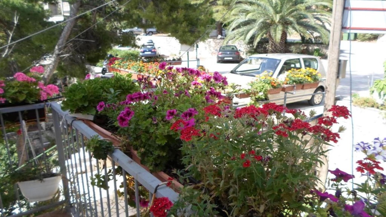 Photo of Patio Balcony in Sobra