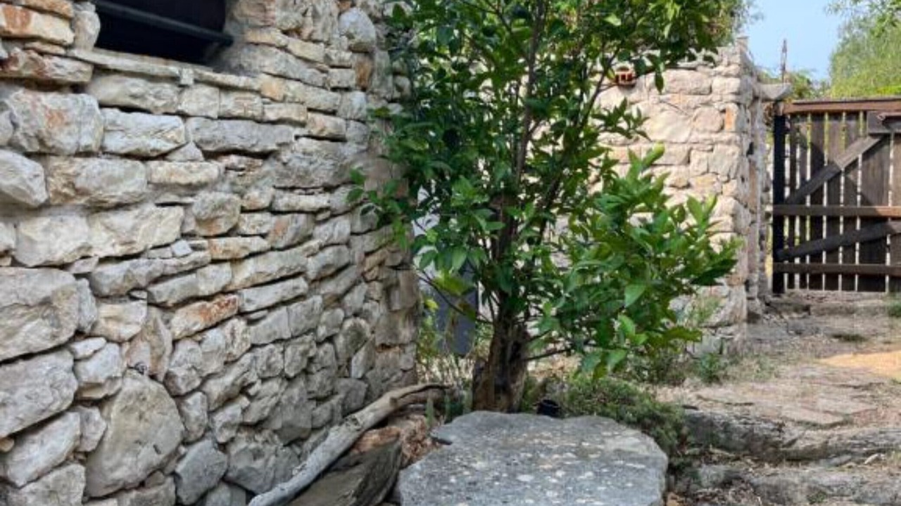 Photo of Outdoor in Veliki Drvenik