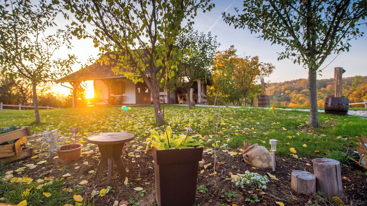 Photo of Outdoor in Sibinj