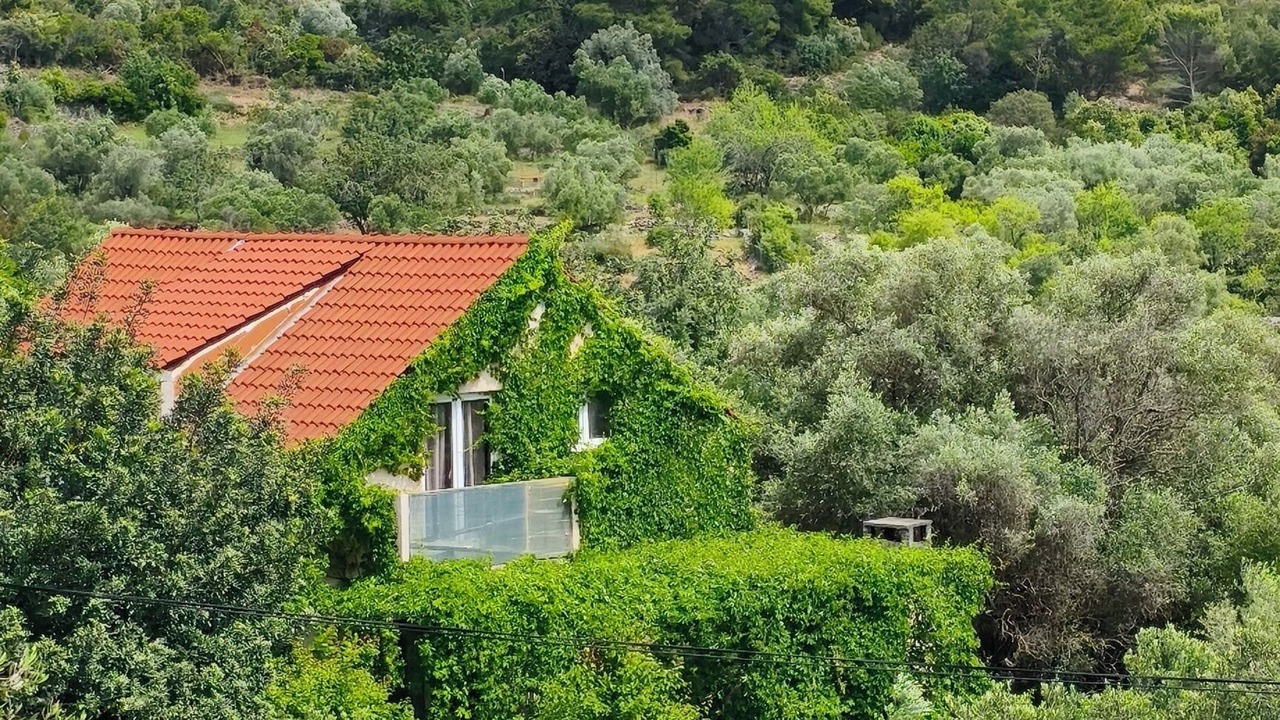 Photo of Others in Mljet