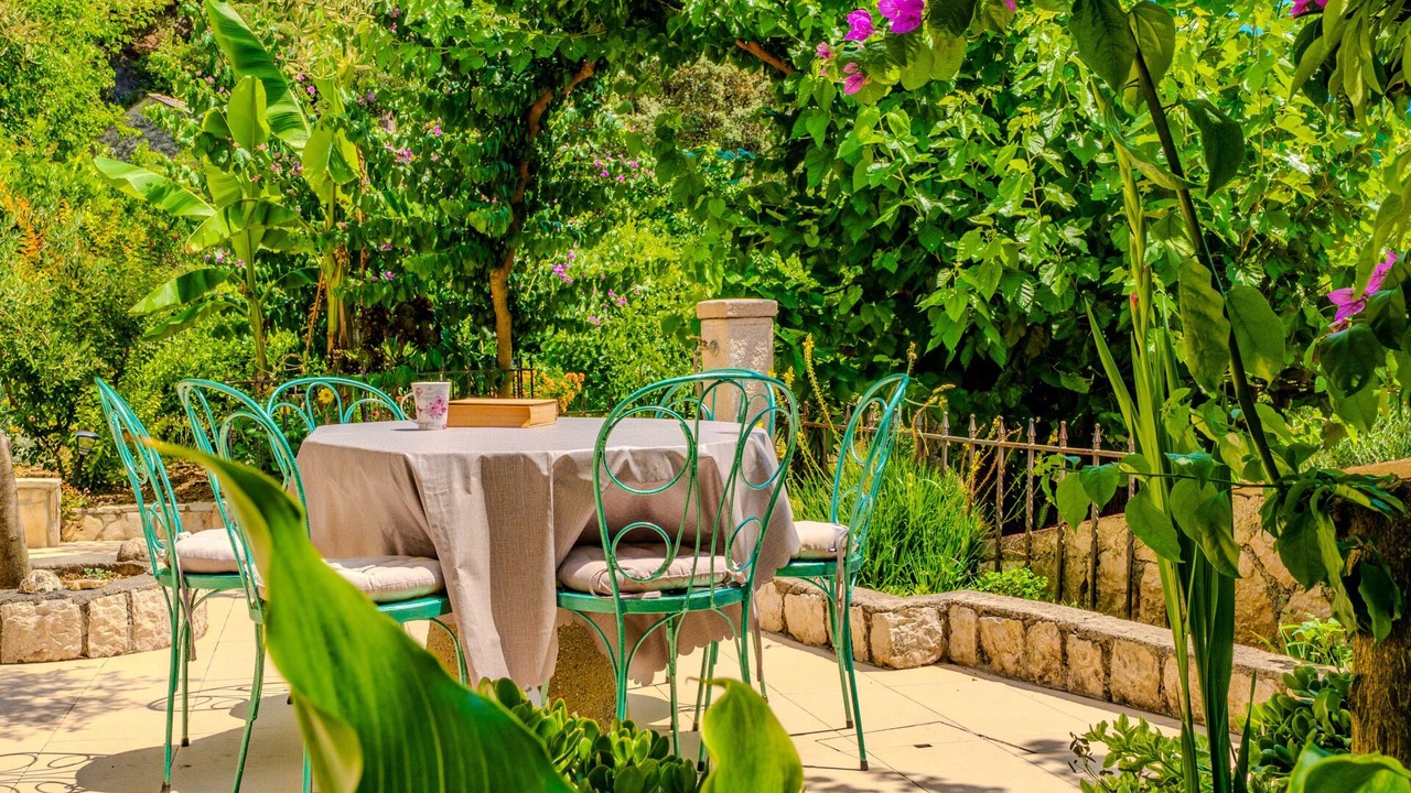 Photo of Outdoor in Supetarska Draga