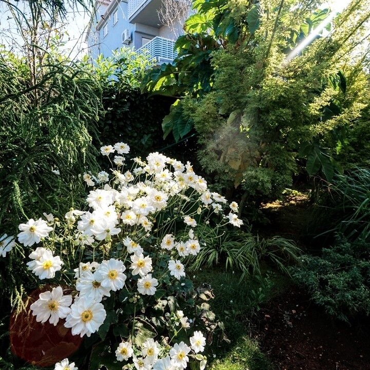 Photo of Outdoor in Zambratija