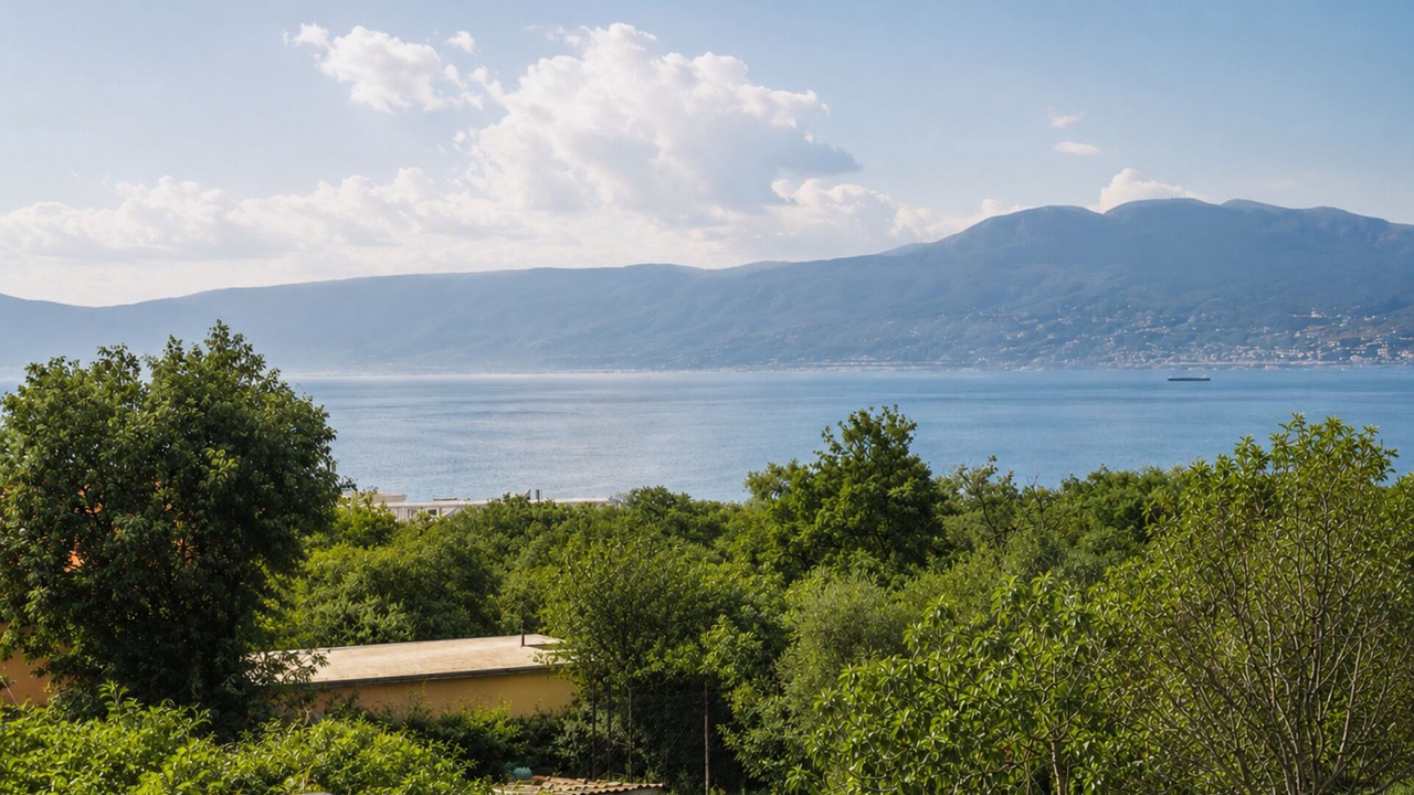 Photo of Others in Zurkovo