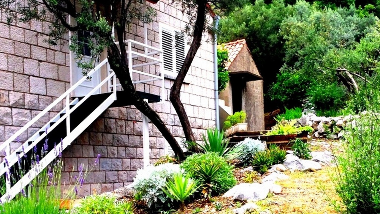 Photo of Outdoor in Brsecine