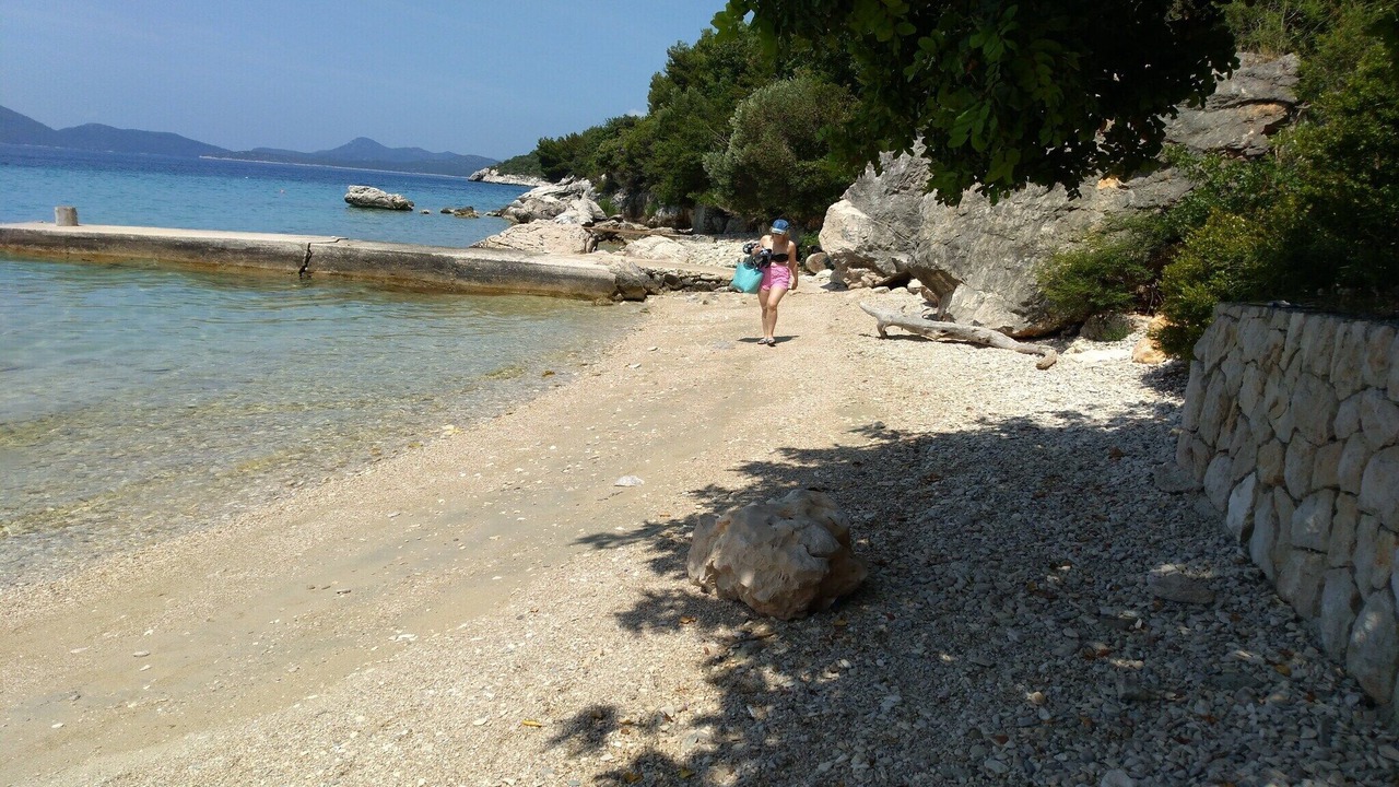 Photo of Others in Banici