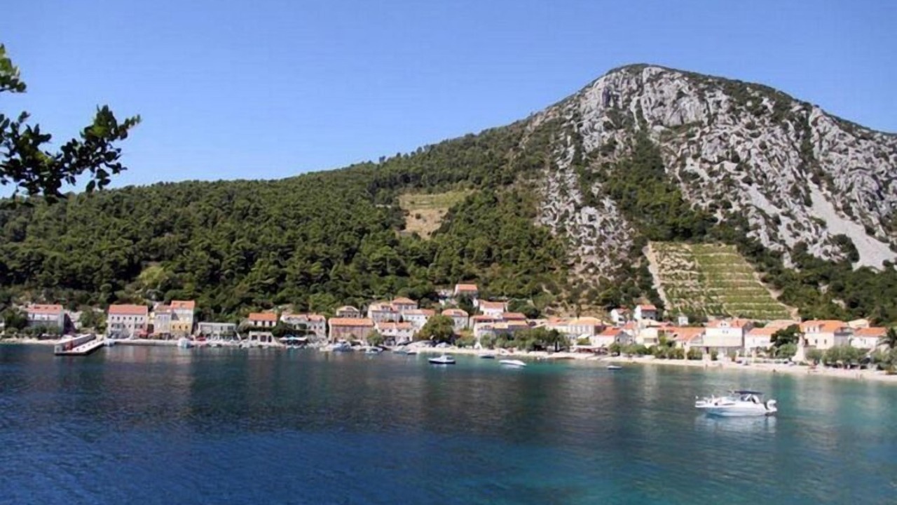 Photo of Others in Trstenik