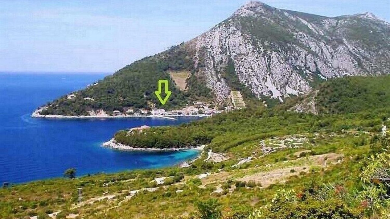 Photo of Others in Trstenik