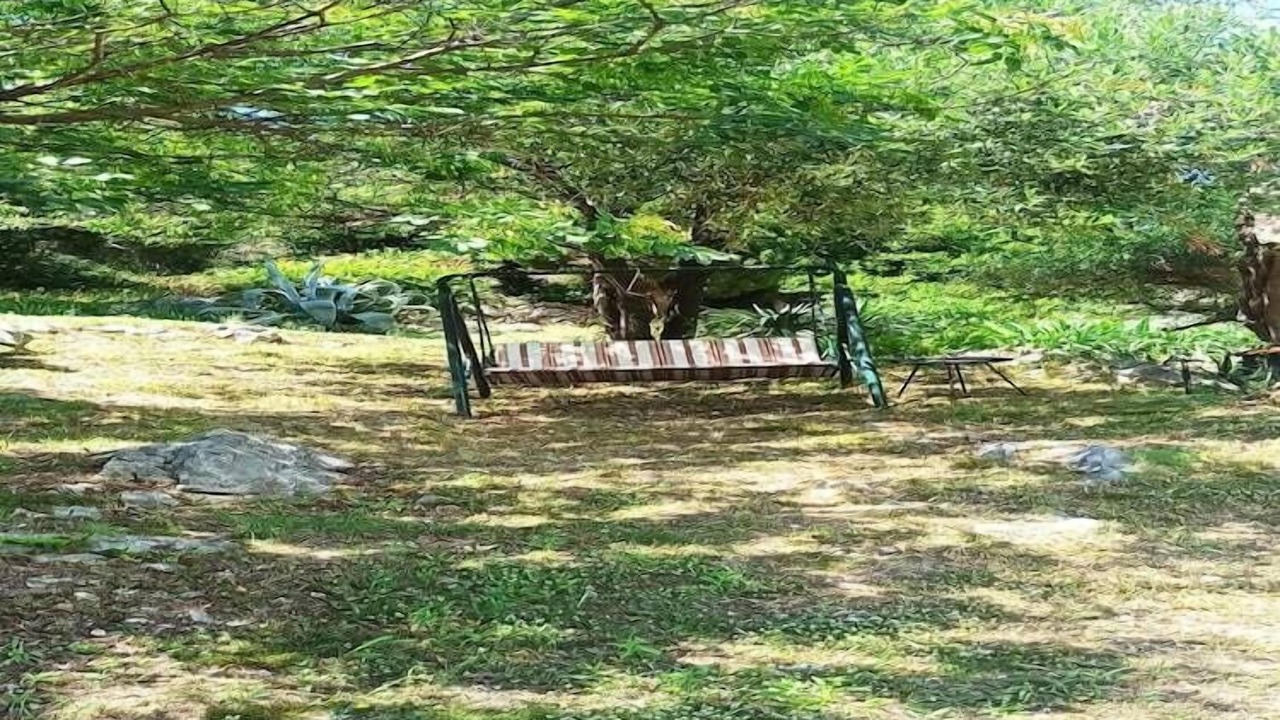 Photo of Outdoor in Srebreno