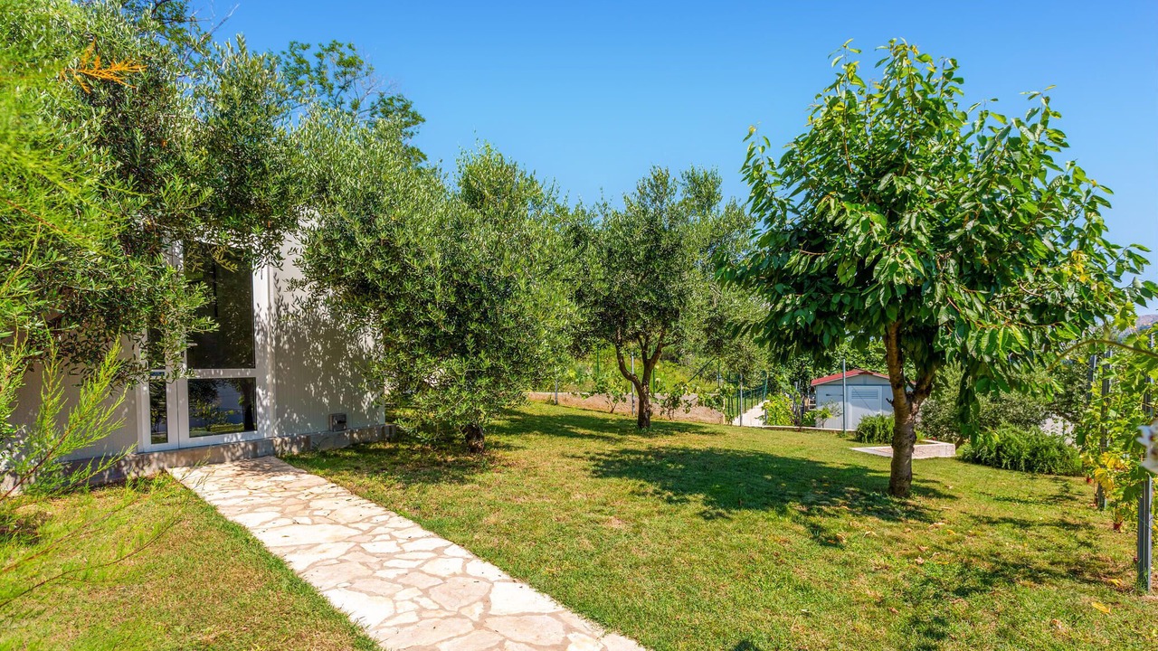 Photo of Others in Draga Bascanska