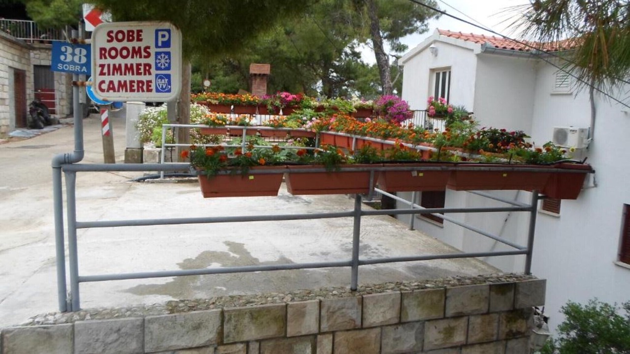 Photo of Outdoor in Sobra