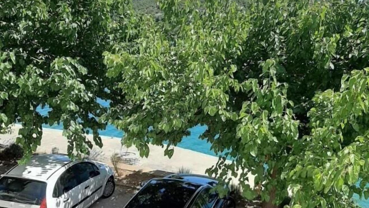 Photo of Outdoor in Zaton