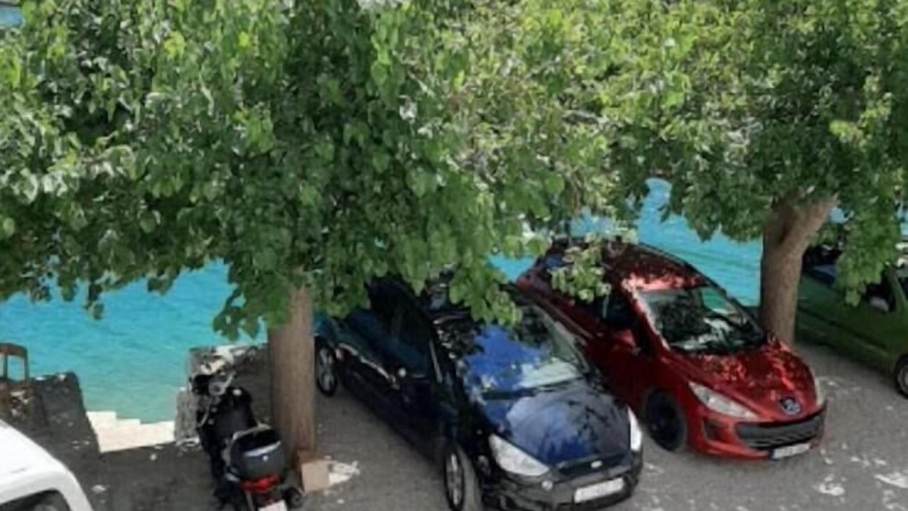 Photo of Outdoor in Zaton
