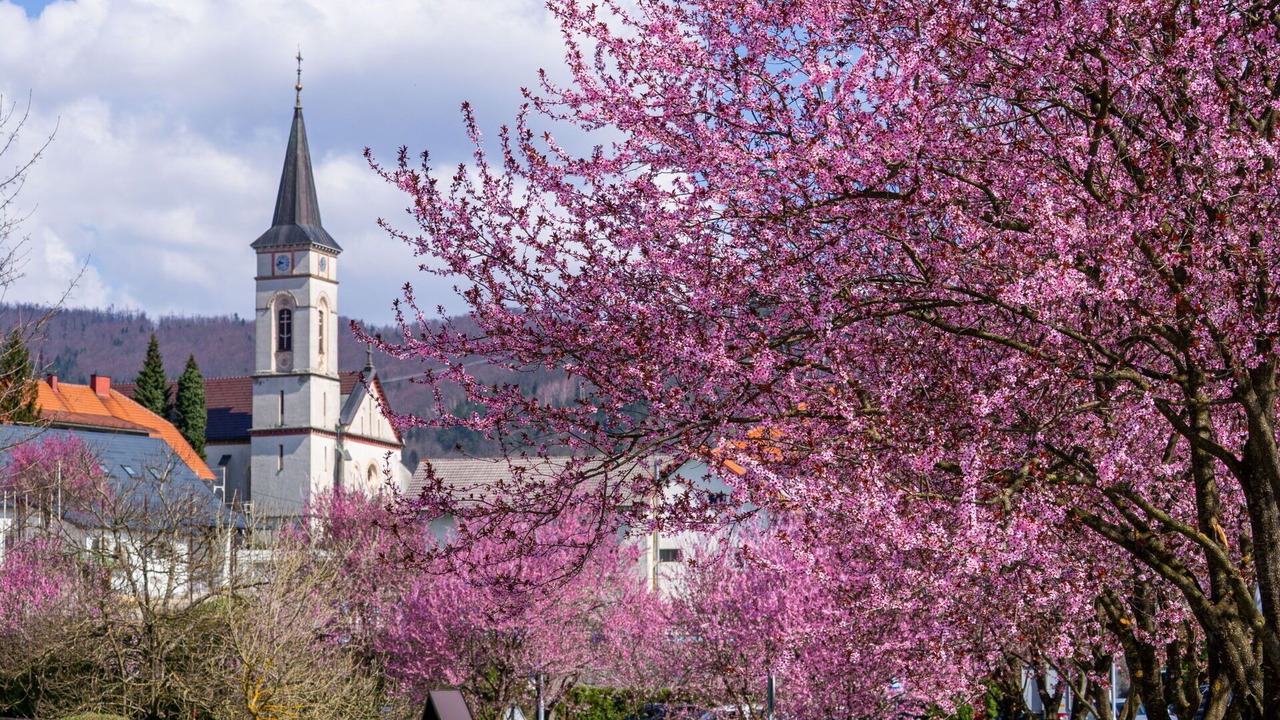 Photo of Outdoor in Vrbovsko