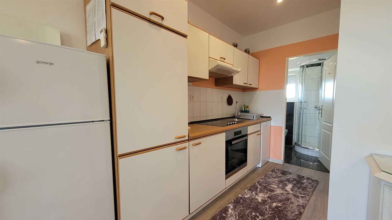 Photo of Kitchen in Milovcici