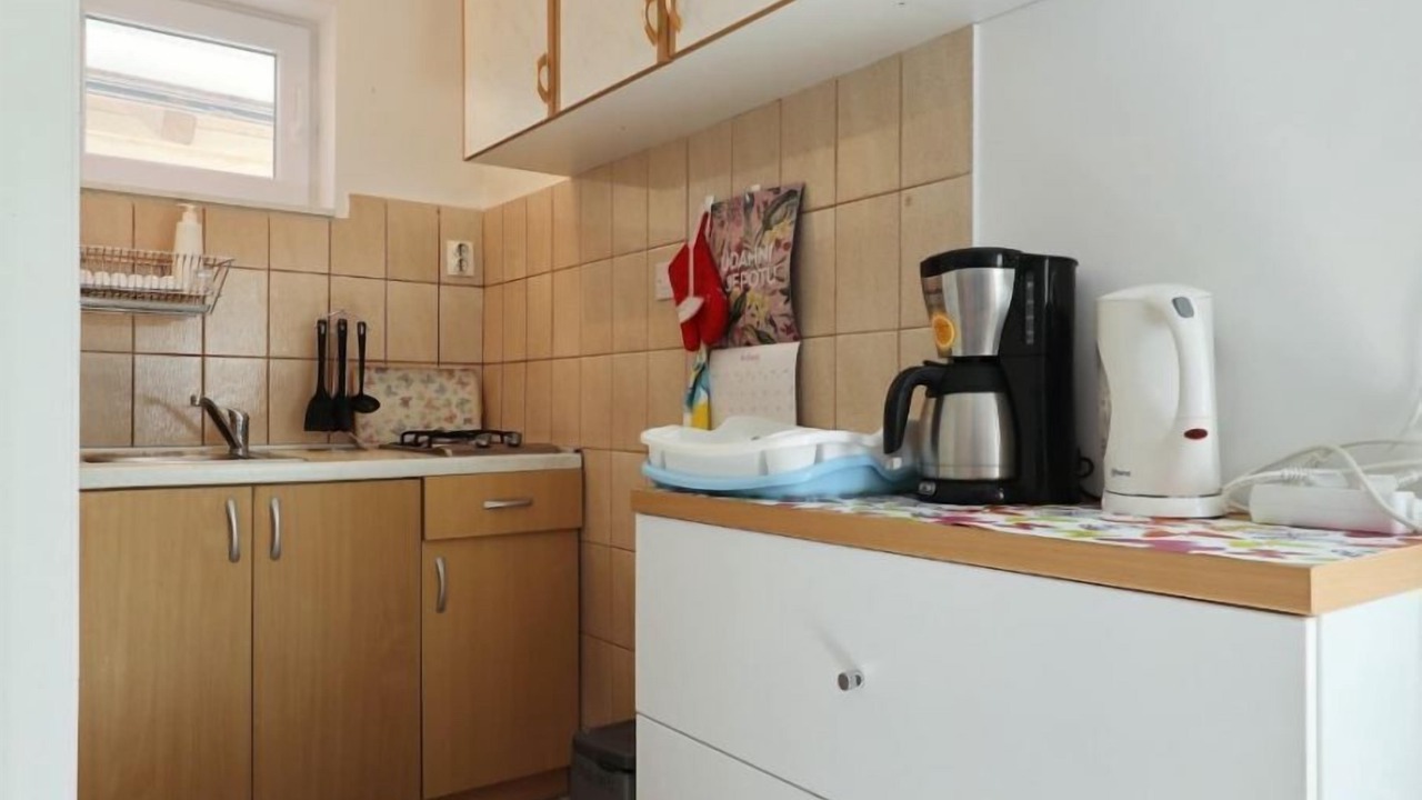 Photo of Kitchen in Susica