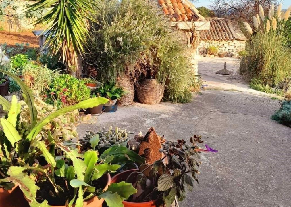 Photo of Outdoor in Zman