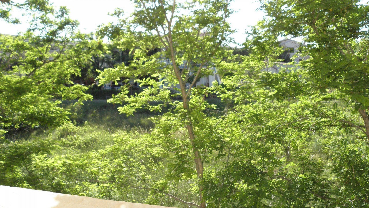 Photo of Outdoor in Vlasici