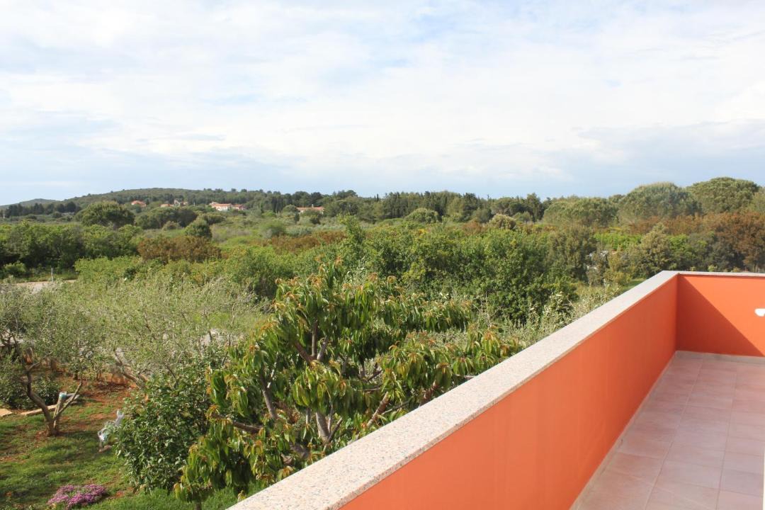 Photo of Others in Muline