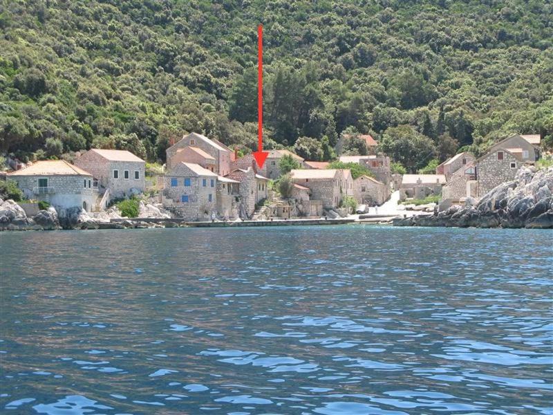 Photo of Others in Lastovo