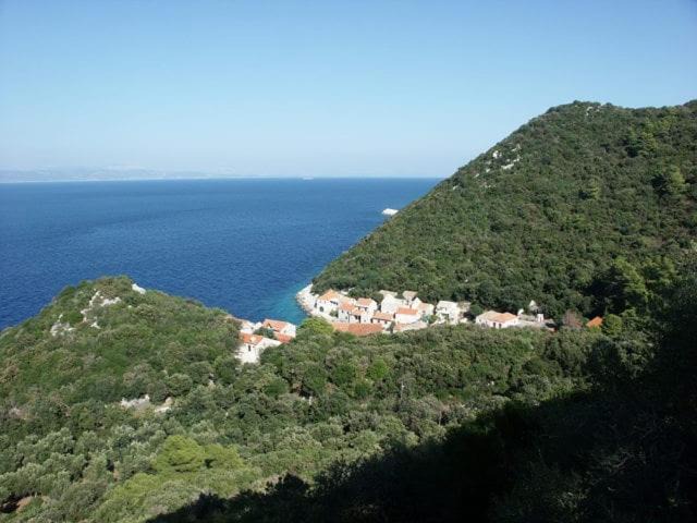 Photo of Others in Lastovo